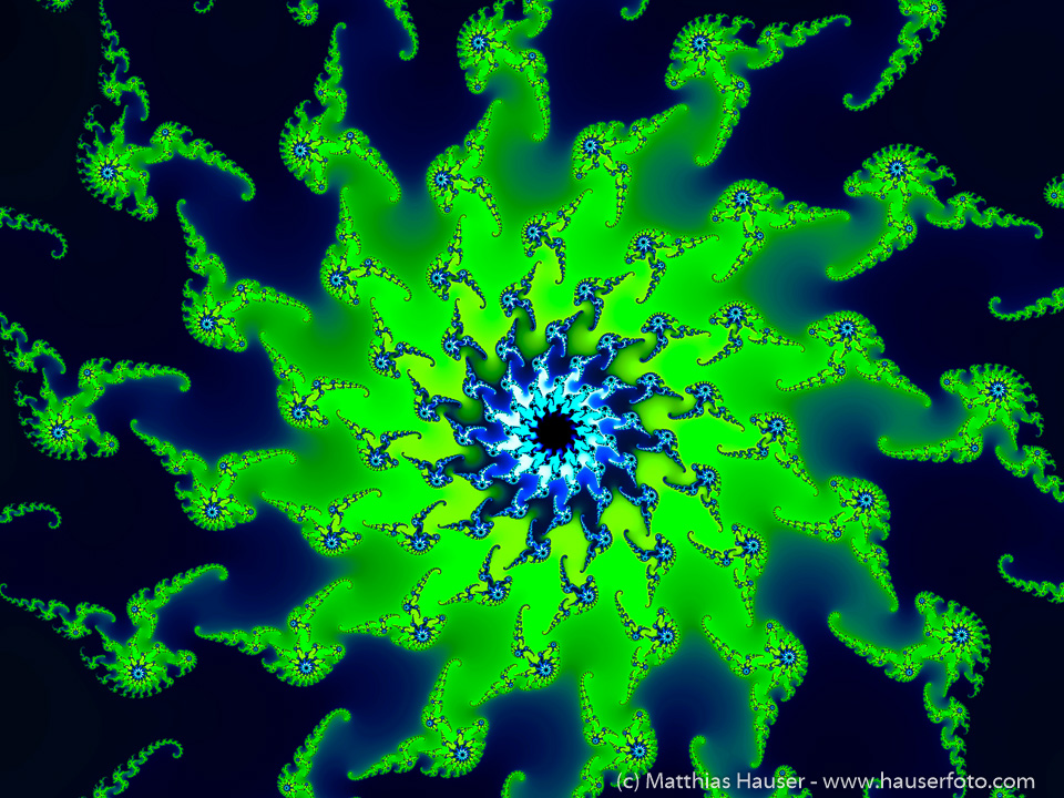 Dancing spirals in spring green and black Fractal Art